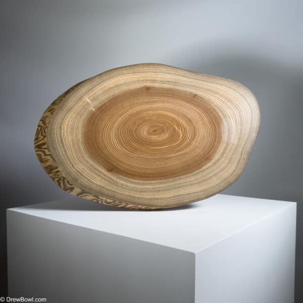 Patera 52x33cm